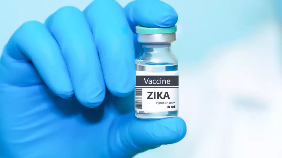 Zika Vaccine Risks